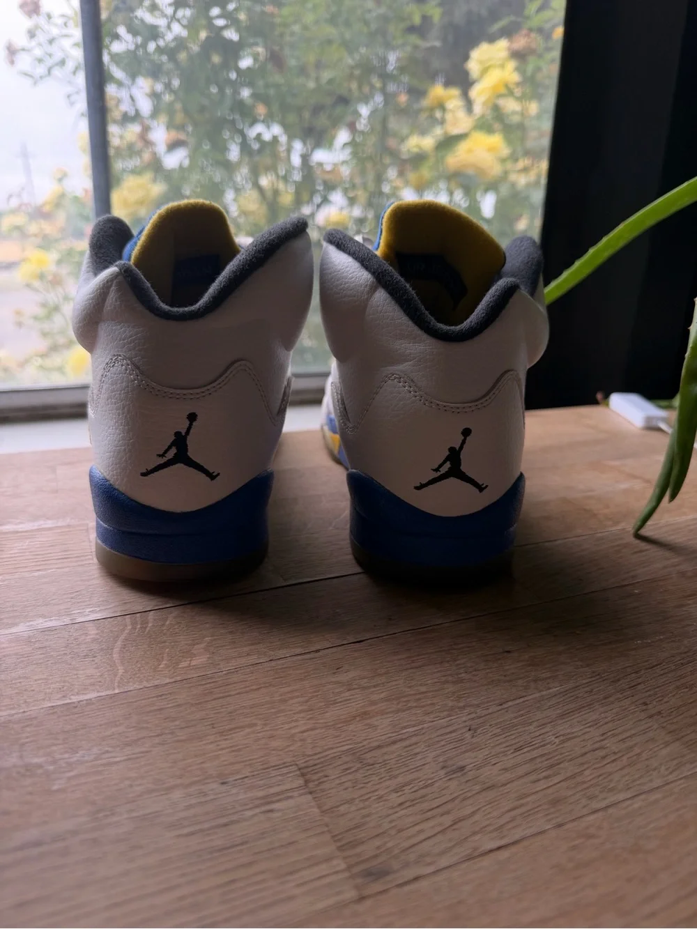 Air Jordan 5 